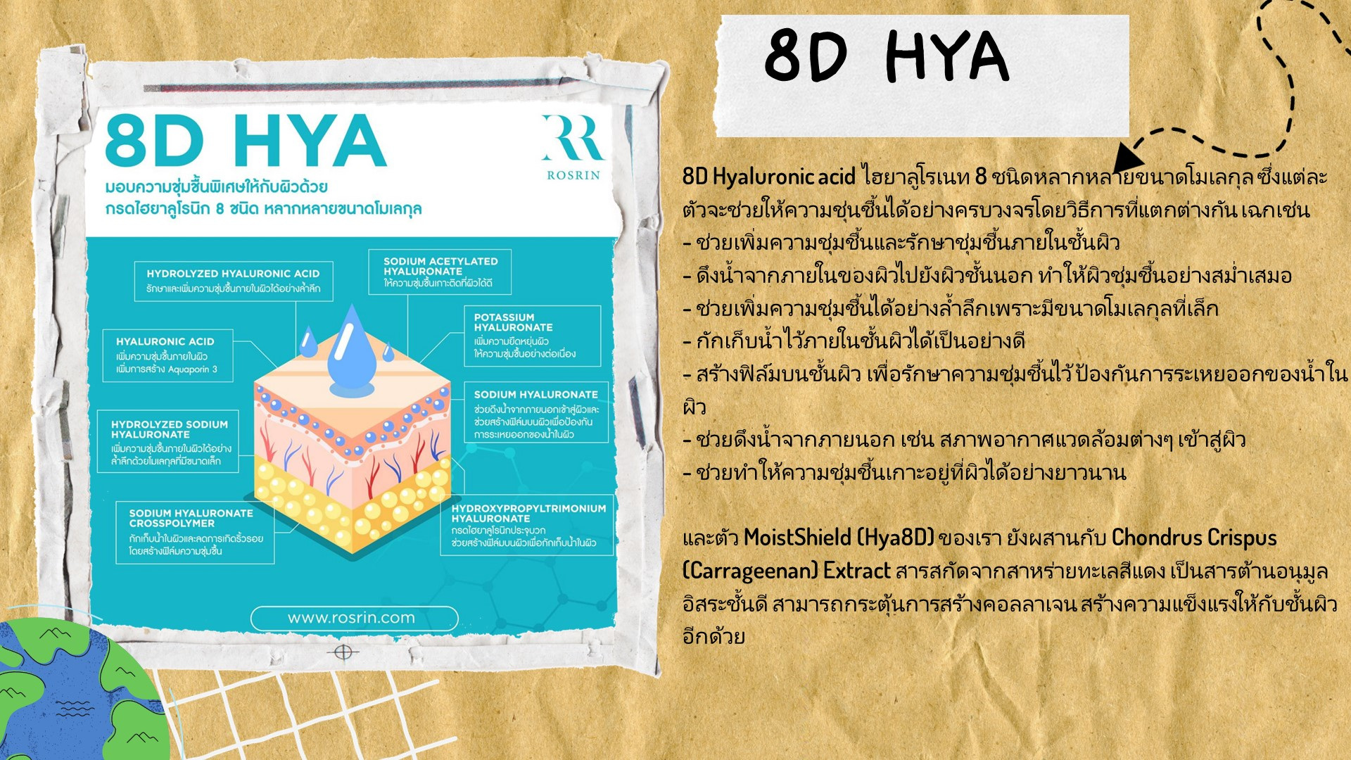 Slide16.JPG