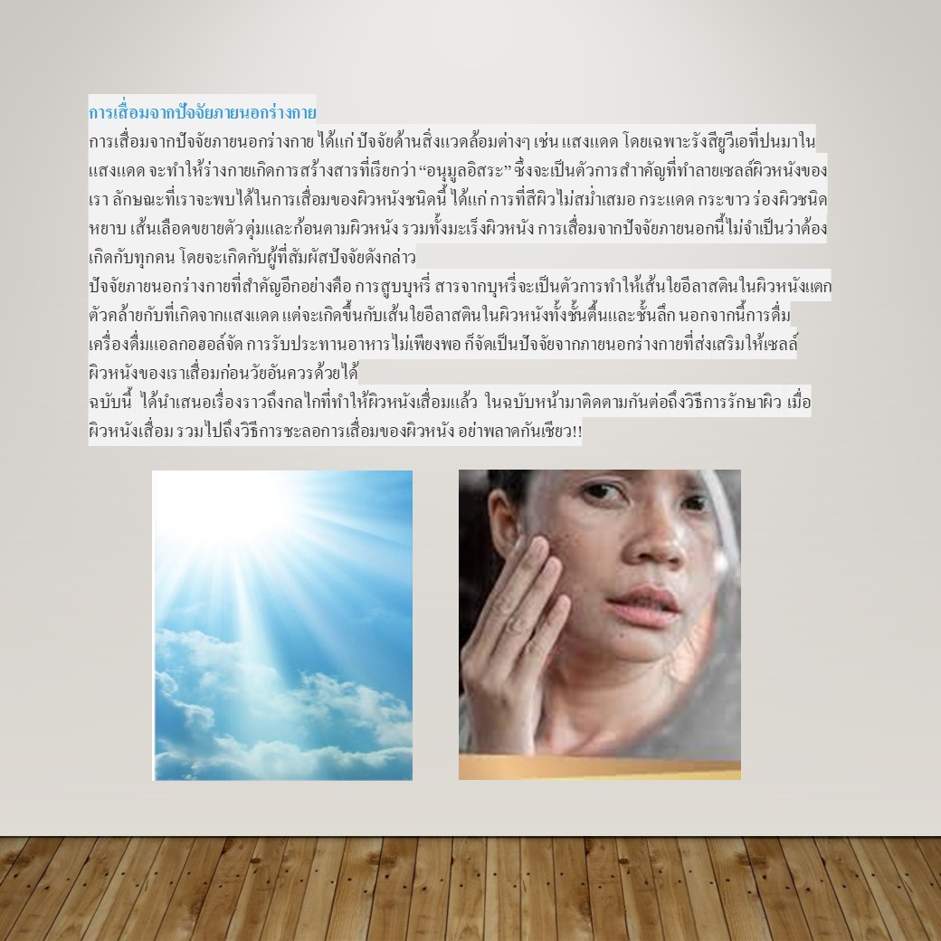 สไลด์3.JPG