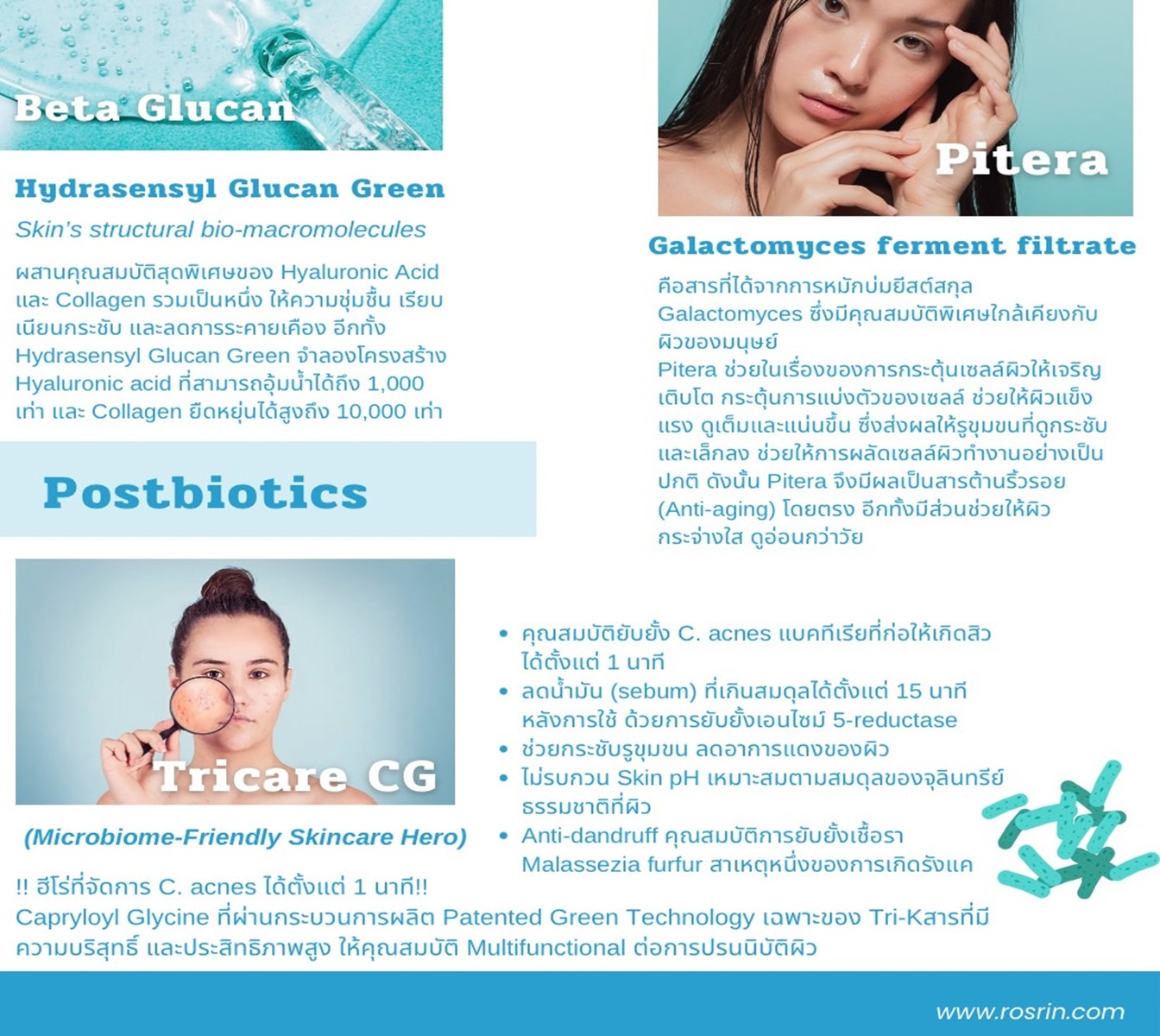 card-6.jpg