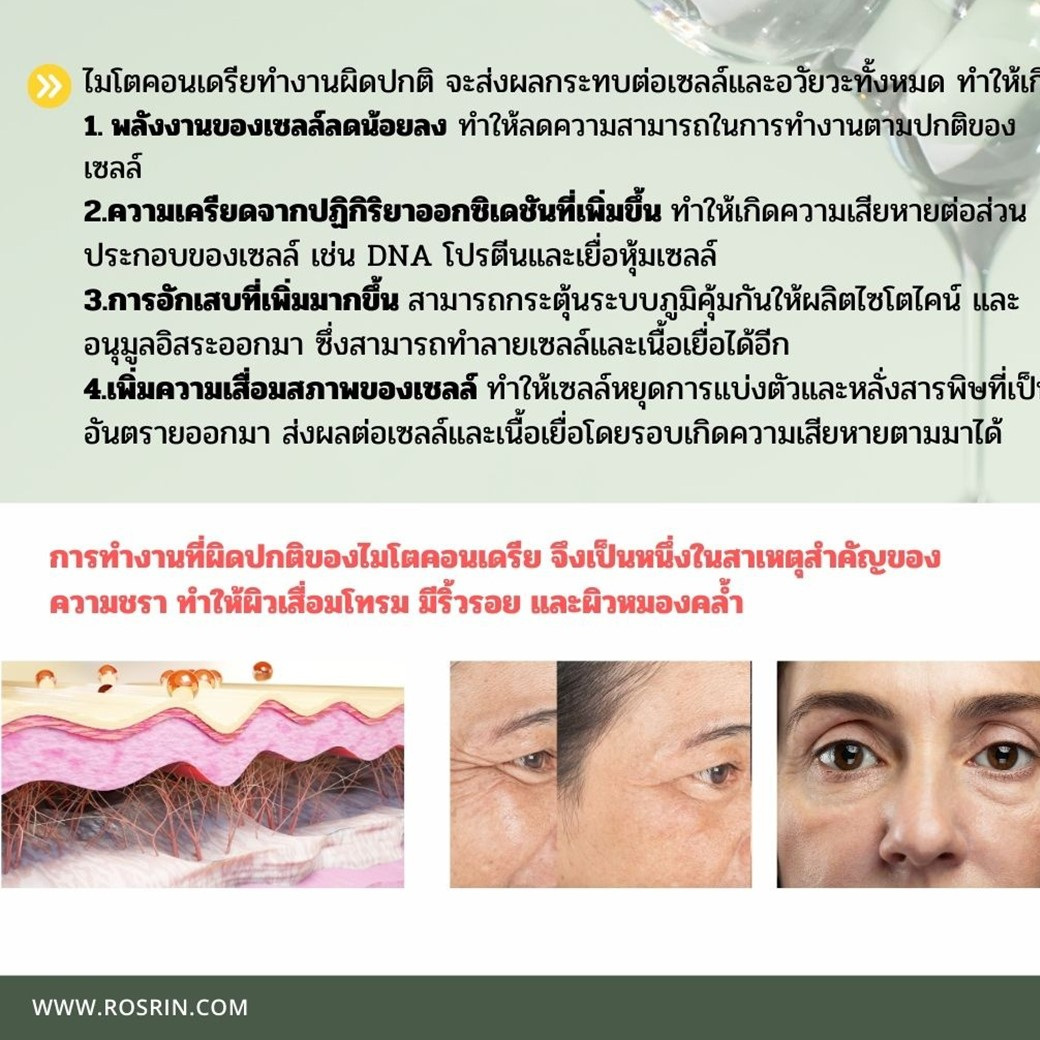 สไลด์8.JPG