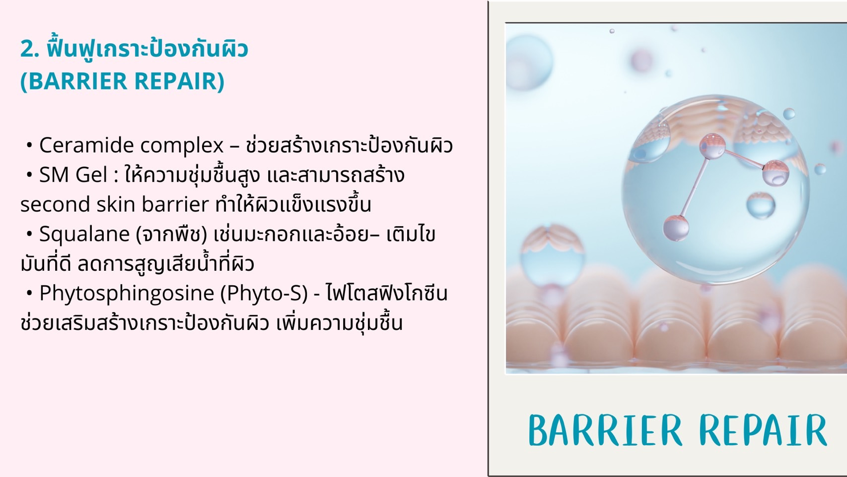 Inflamed-skin-และการดูแลผิวให้ถูกวิธี-4.jpg