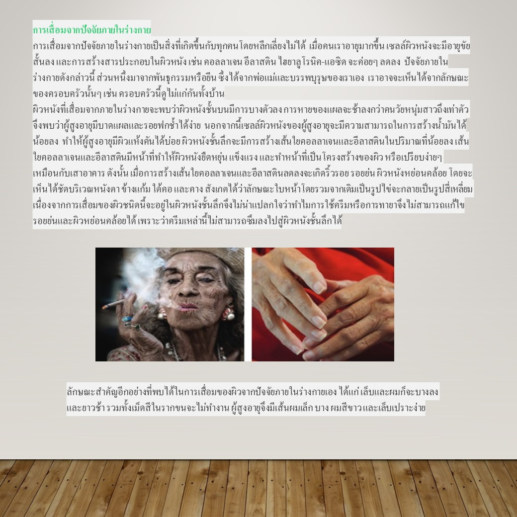 สไลด์2.JPG