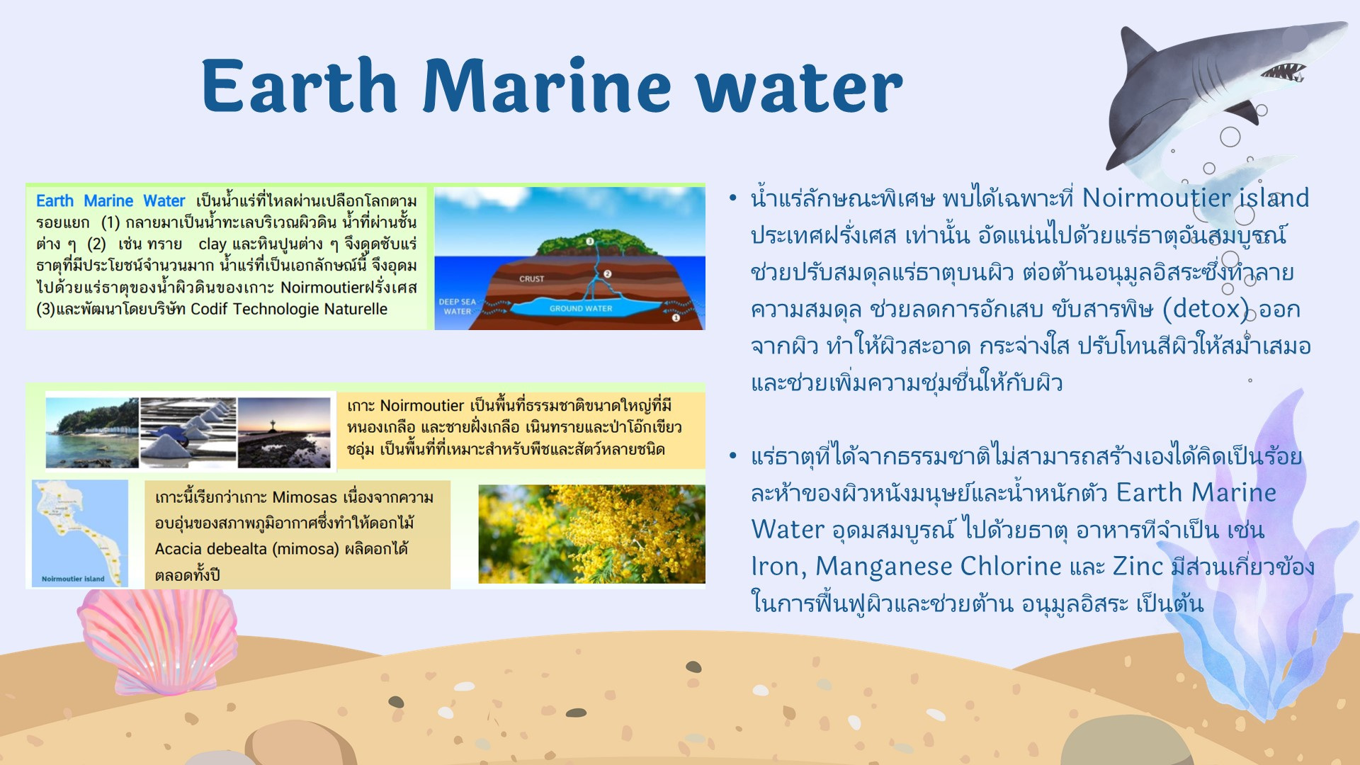 Slide21.JPG