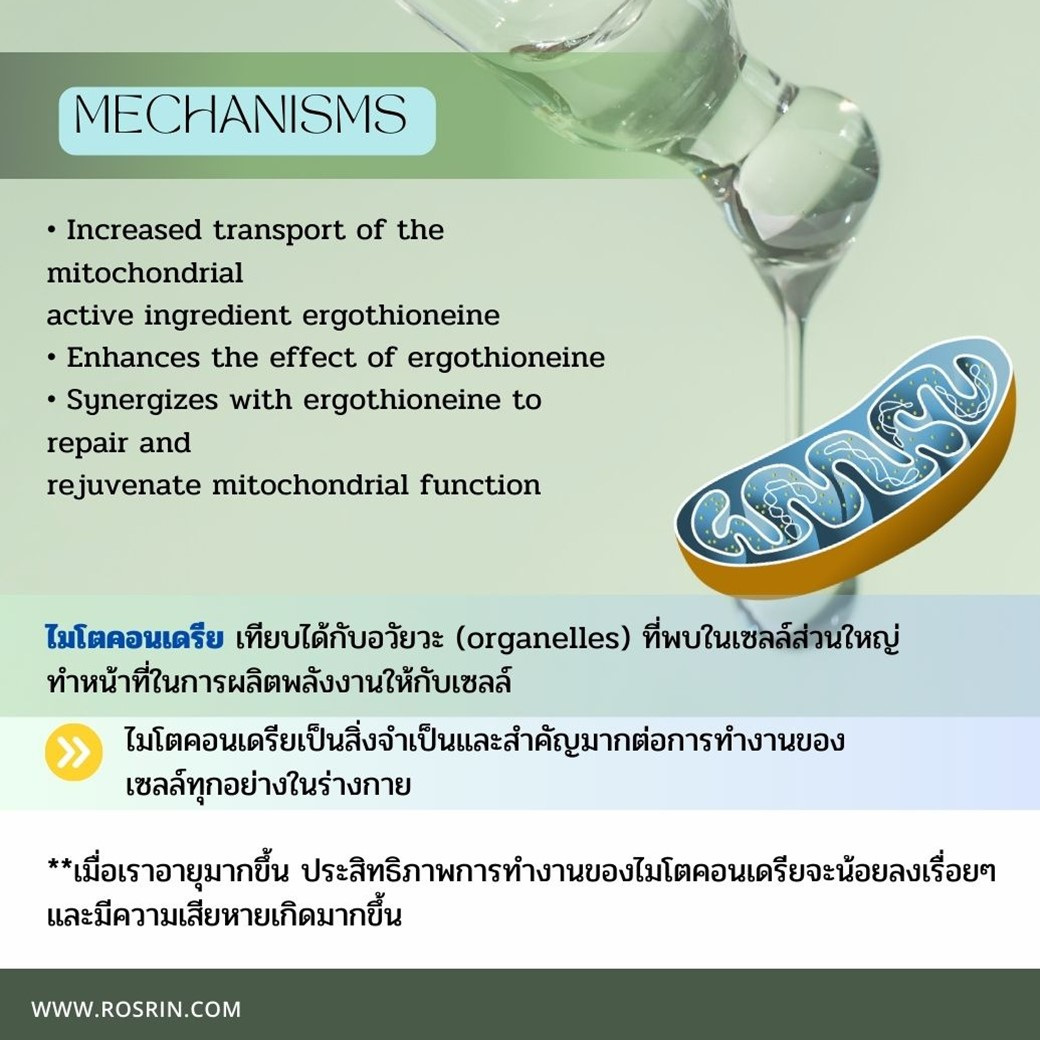 สไลด์7.JPG