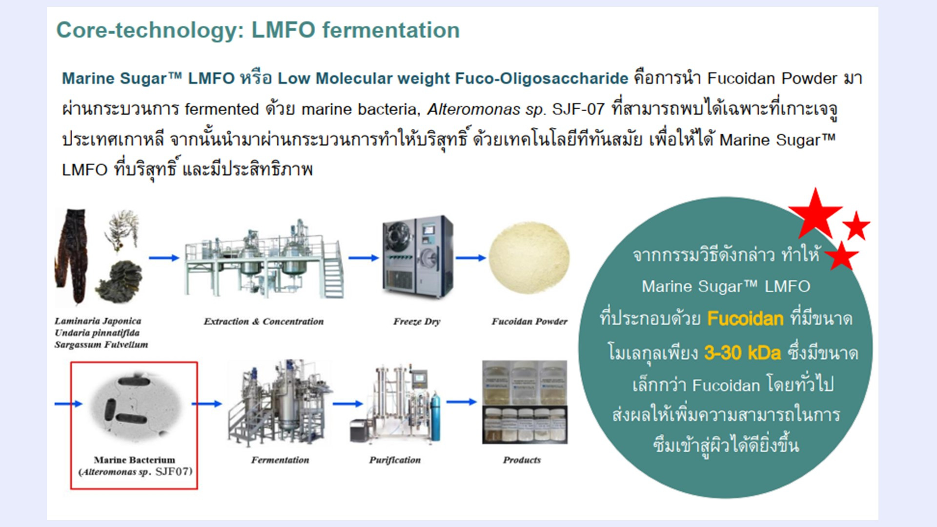 Slide16.JPG