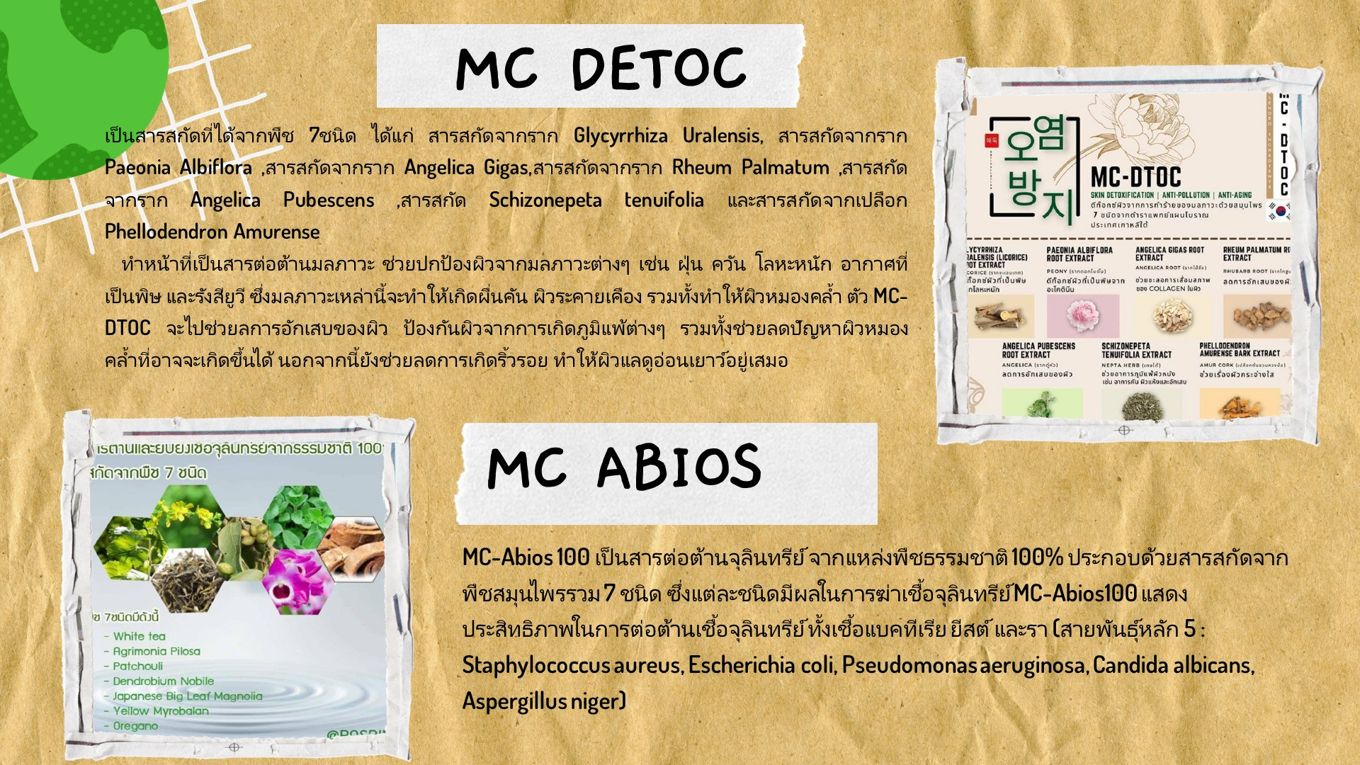 Slide7.JPG