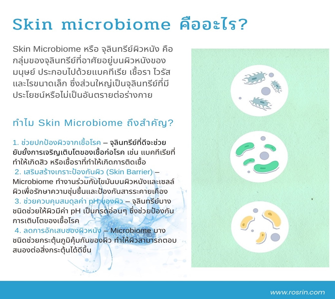 card-2.jpg