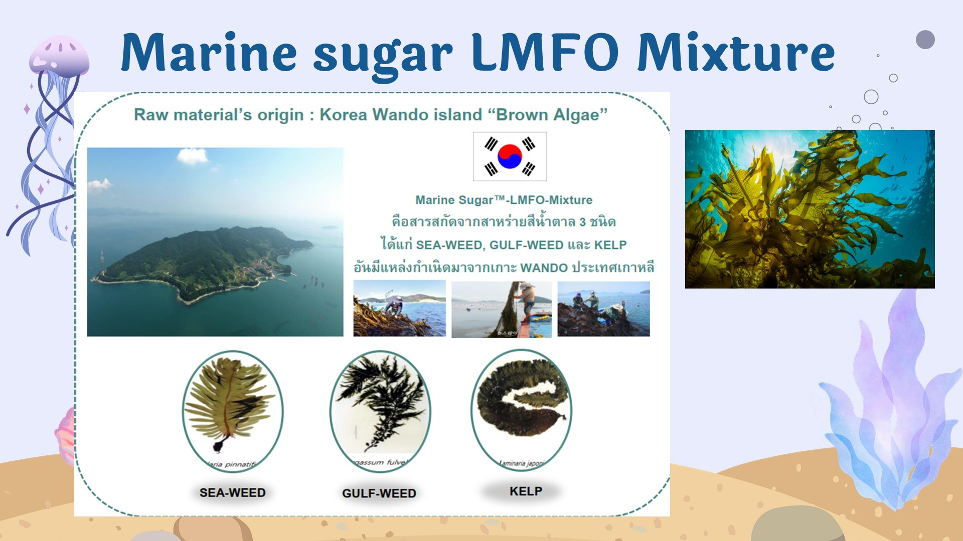 Slide15.JPG