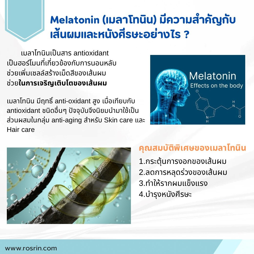 สไลด์36.JPG