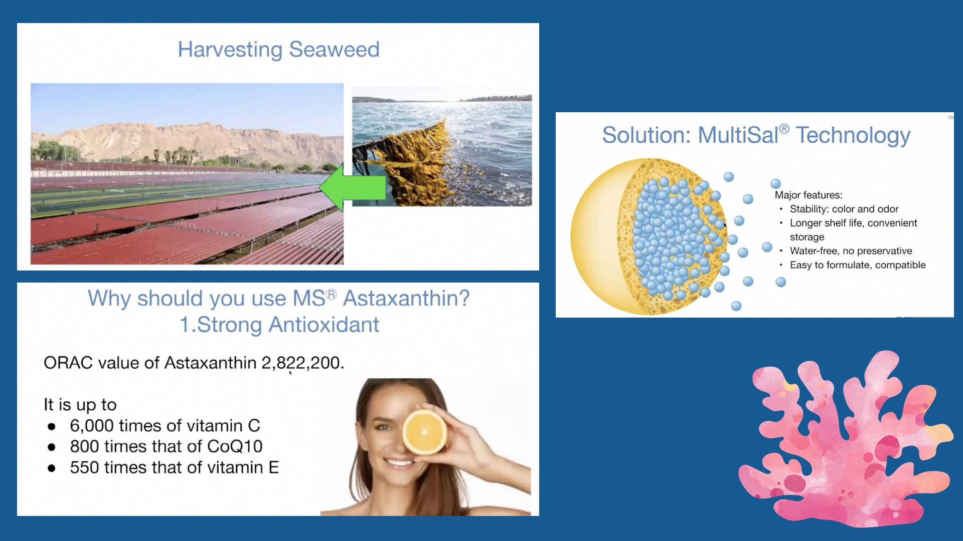 Slide19.JPG