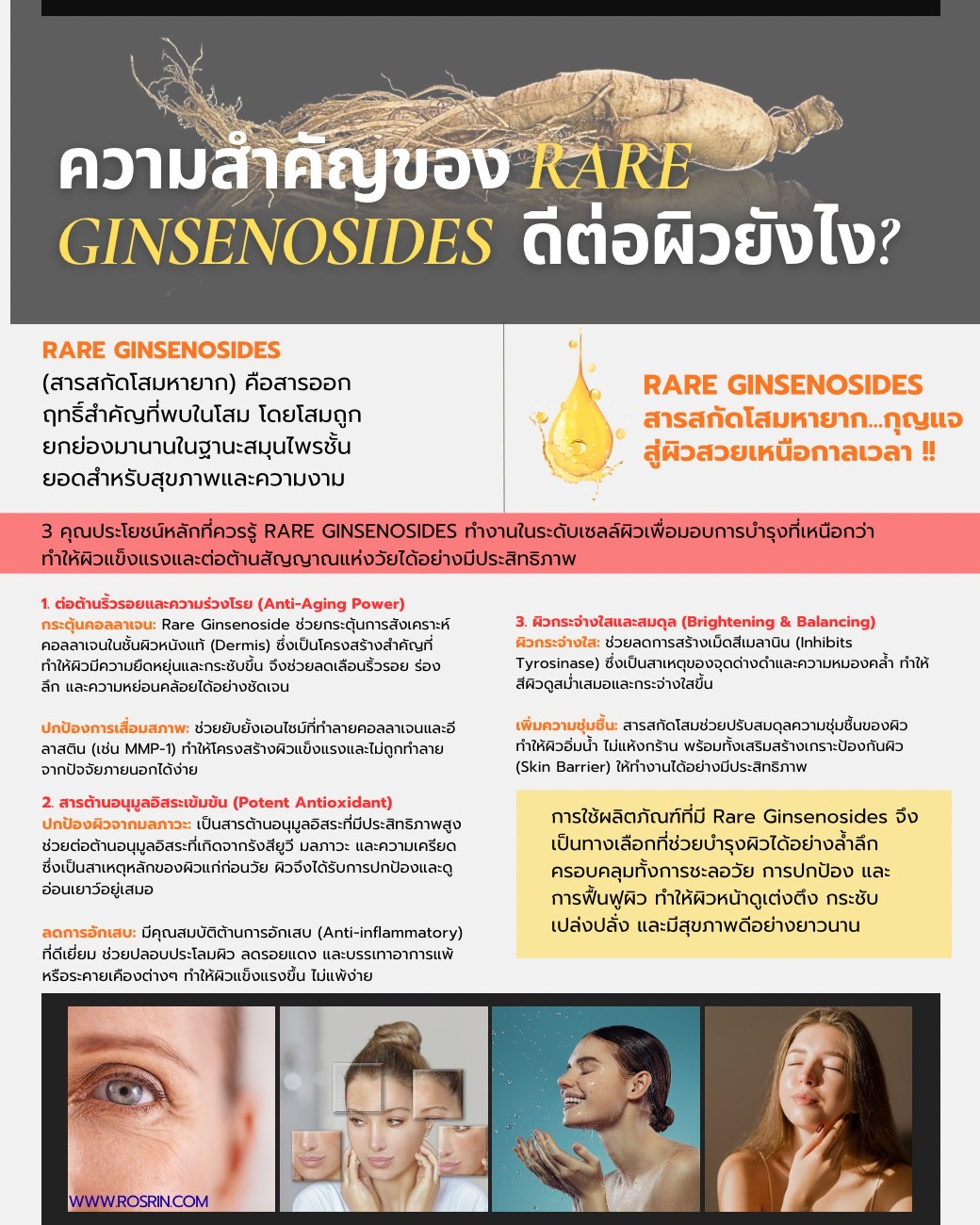 ความสำคัญของ-Rare-Ginsenosides.jpg